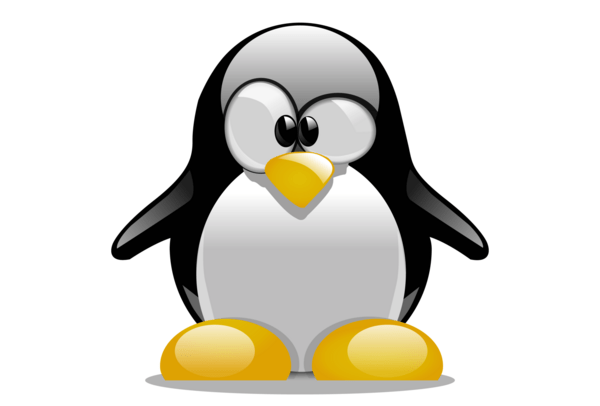 LinuxTips